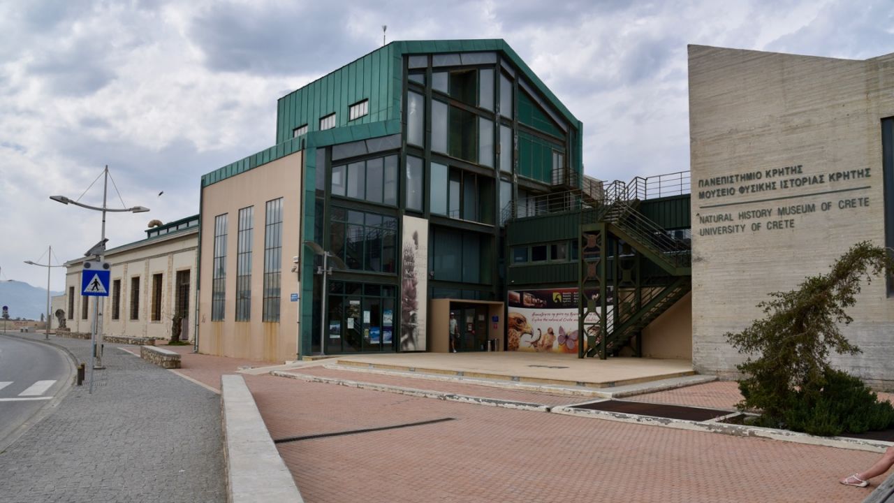 Naturkunde Museum von Heraklion