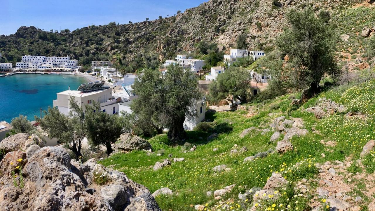 Blumenvielfalt im Frühling in Loutro