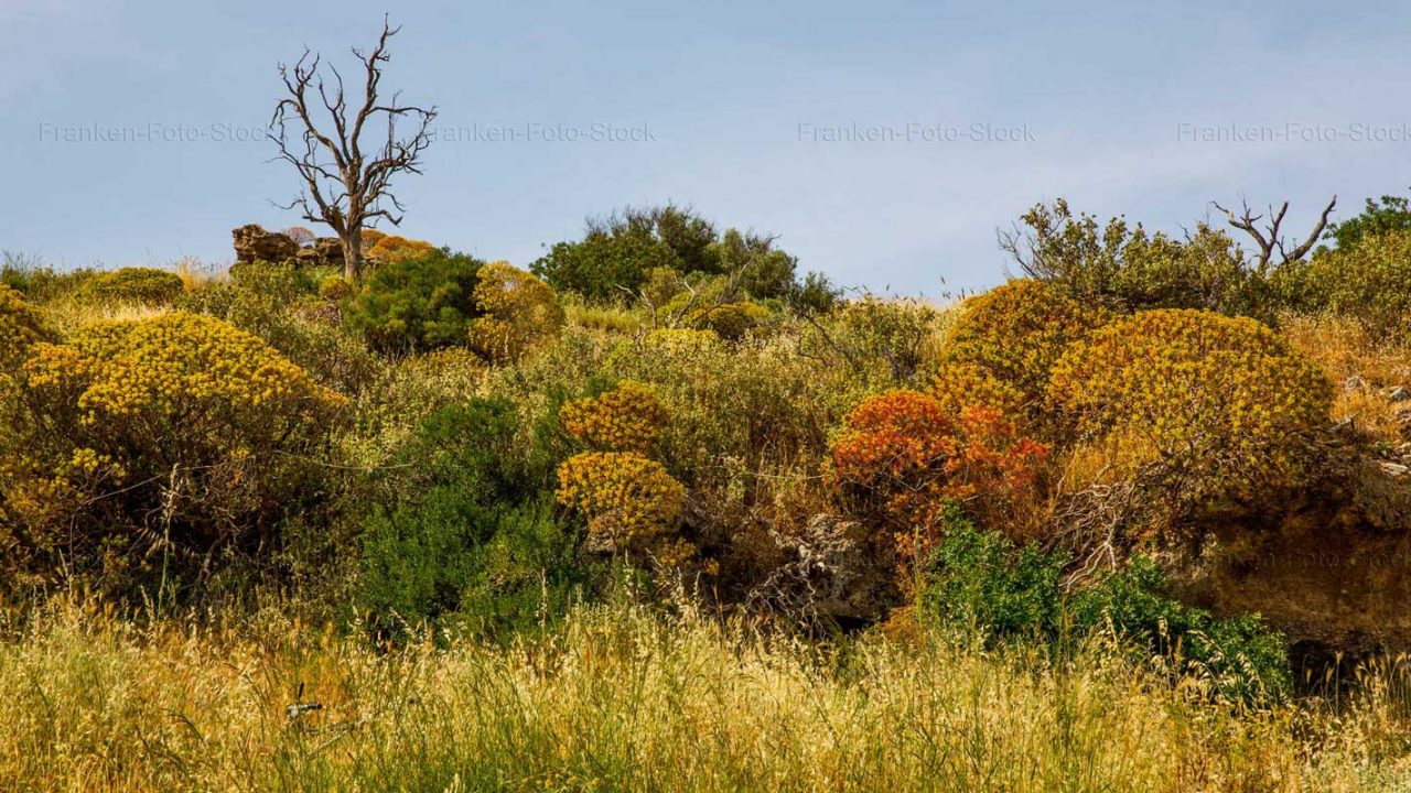 Naturparadies auf einer Wanderung Foto von Raimund Franken